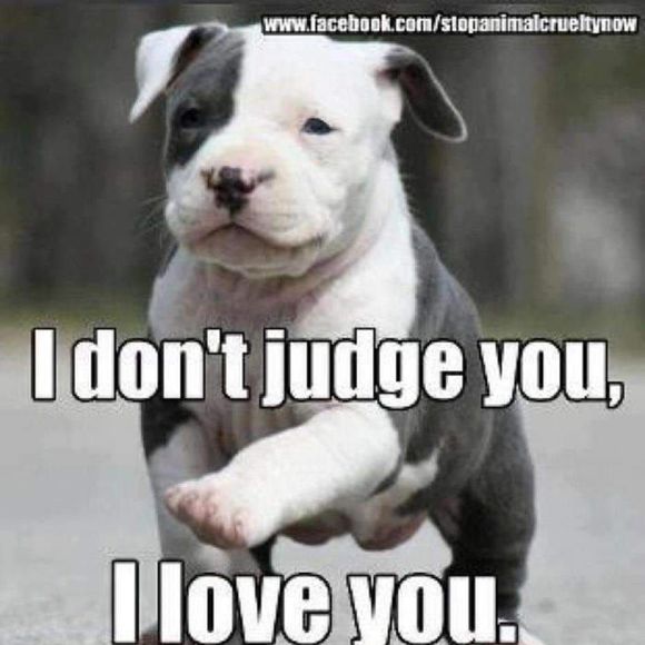 Meet your Posher, Delphia - Picture 1 of 1